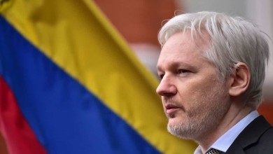 julian assange wikileaks