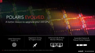 polaris evolved rx 560x