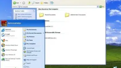 windows xp windows 10