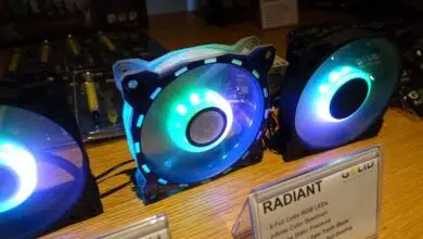 gelid radiant