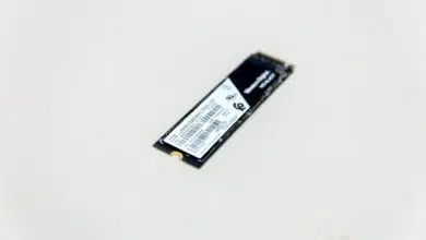 Western Digital Black M2 NMVe 1TB 02