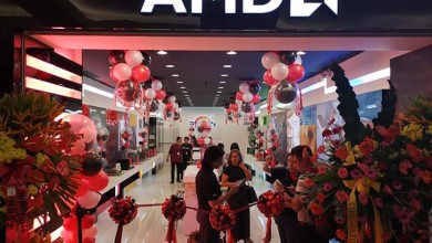 amd concept store