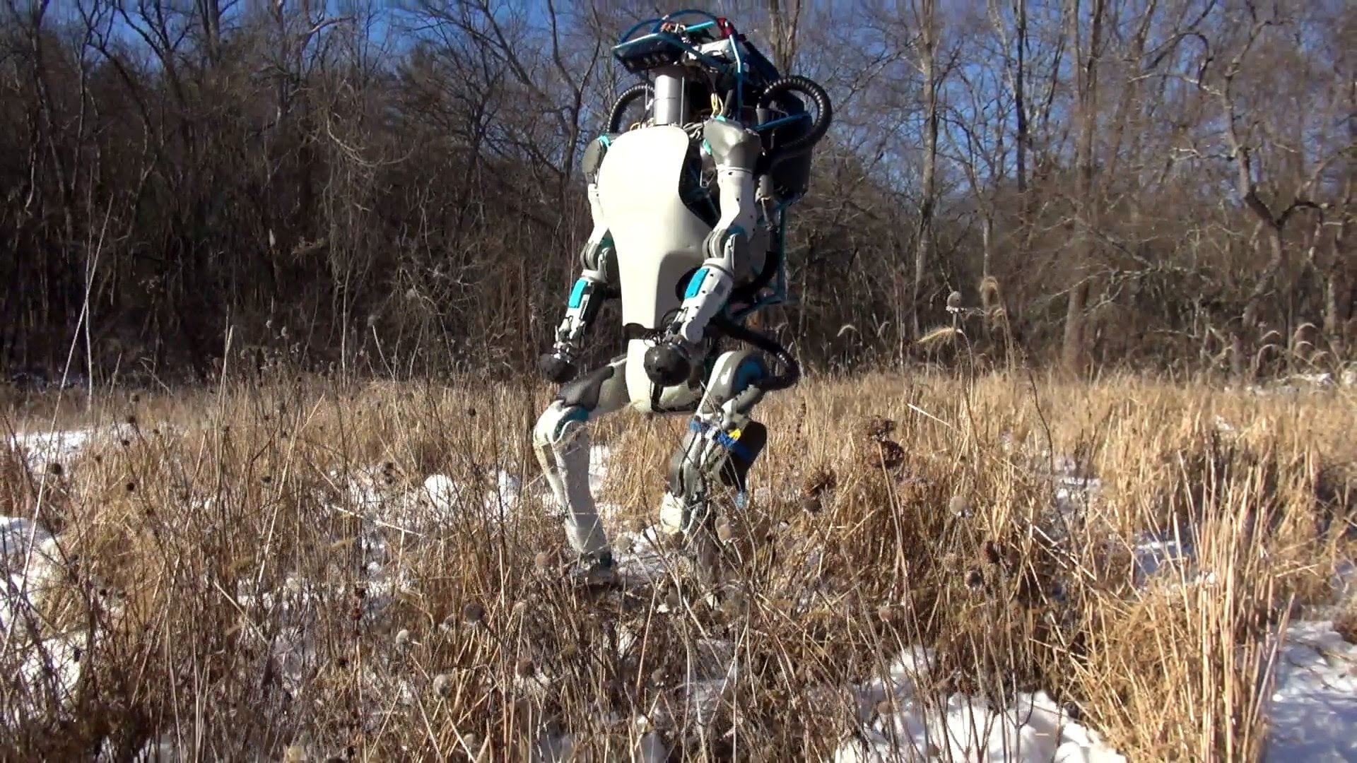 boston dynamics atlas campo