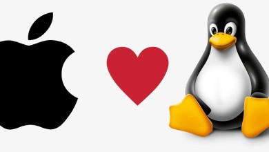 linux kernel developers wide