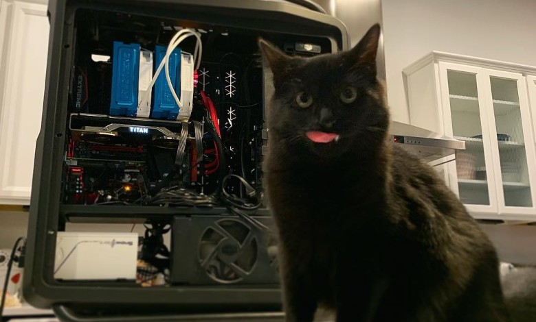 Nvidia GeForce RTX TITAN