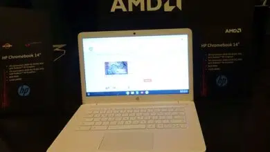 hp Chromebooks