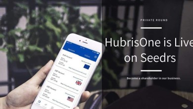HubrisOne Portada