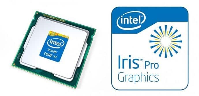 Intel Iris igpu