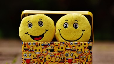 box cheerful color 207983 scaled