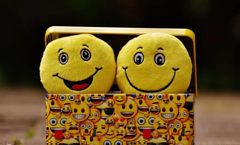 box cheerful color 207983 scaled