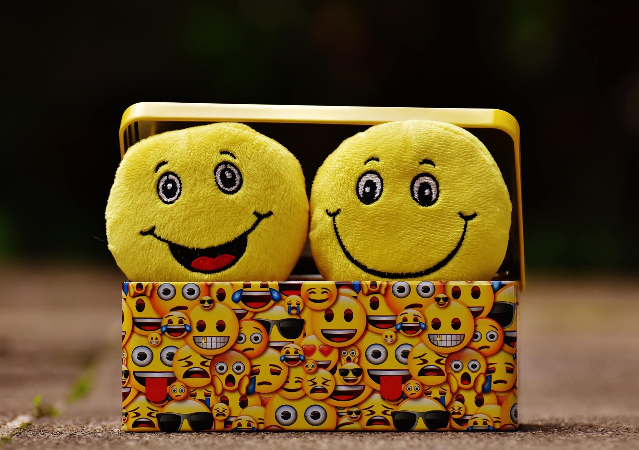 box cheerful color 207983 scaled