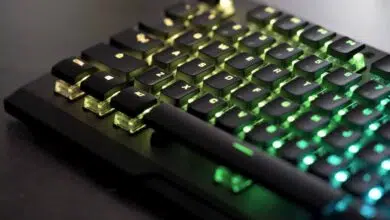 46772794 2223844881012510 6686646815762153472 o