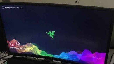 Gpc58PgsLeB8zRqdcpyfmT 650 80