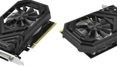 Gainward GeForce GTX 1650 Pegagus OC