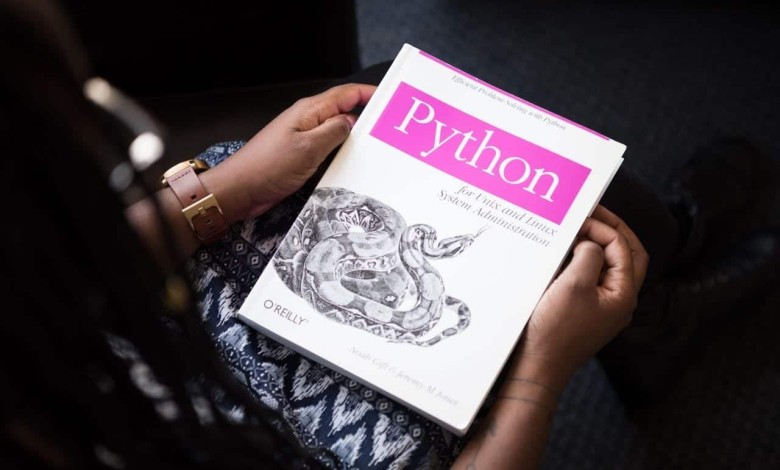 adult coder developer 1181671