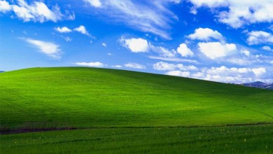 microsoft windows xp