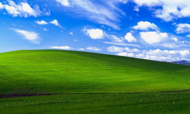 microsoft windows xp