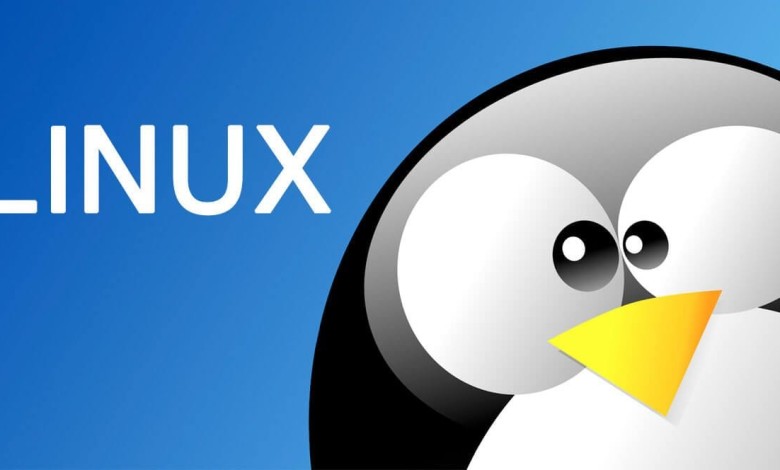 linux sistema operativo amd valve steam steamdeck deck kernel fallo error seguridad