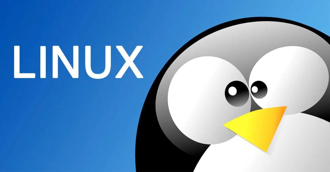 linux sistema operativo amd valve steam steamdeck deck kernel fallo error seguridad