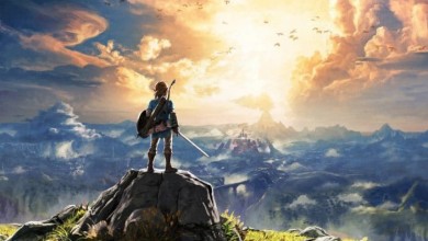link mirando el cielo