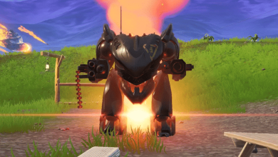 BRUTO Fortnite