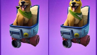 Fortnite Bonesy Gunner