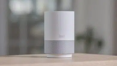 Speaker Baidu Alibaba