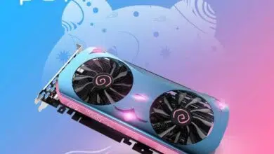 Yeston RX 580 2048SP CUTE PET