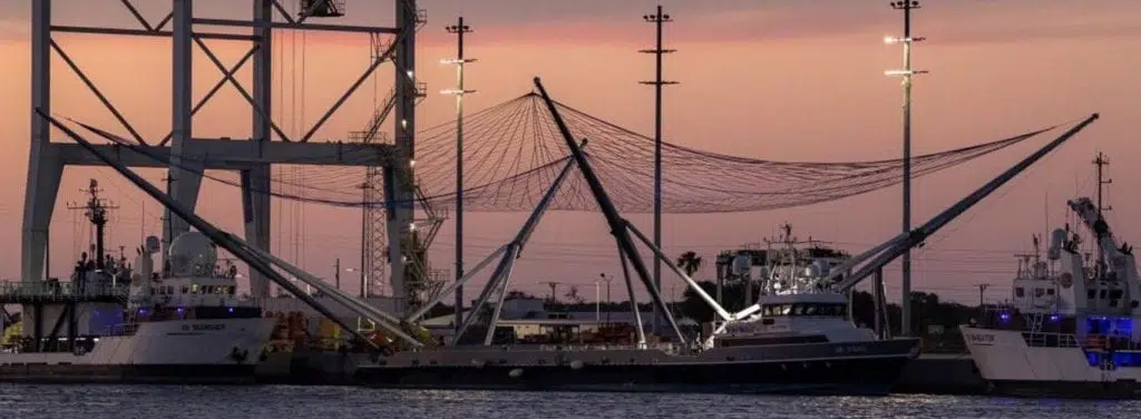 space x falcon 9 mr tree