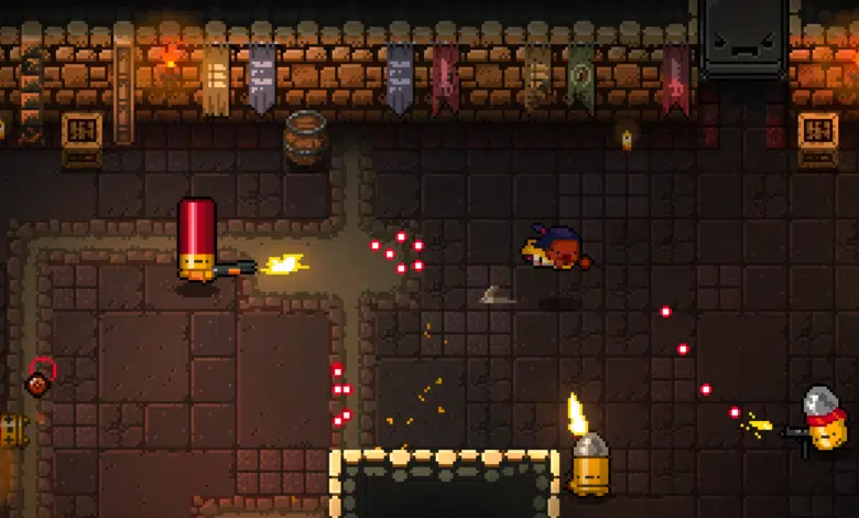 Enter the Gungeon