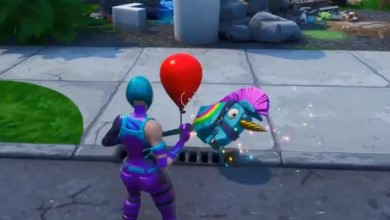 Fortnite IT