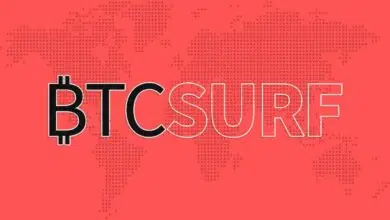 btcsurf Portada