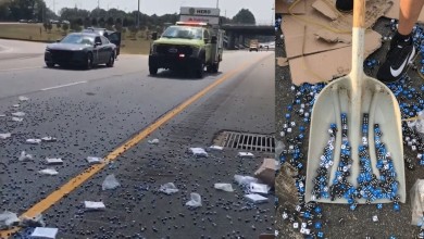 carretera dados incidente