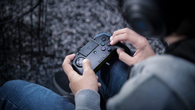 Razer Raion