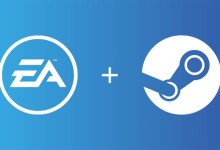 steam ea valve