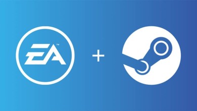 steam ea valve