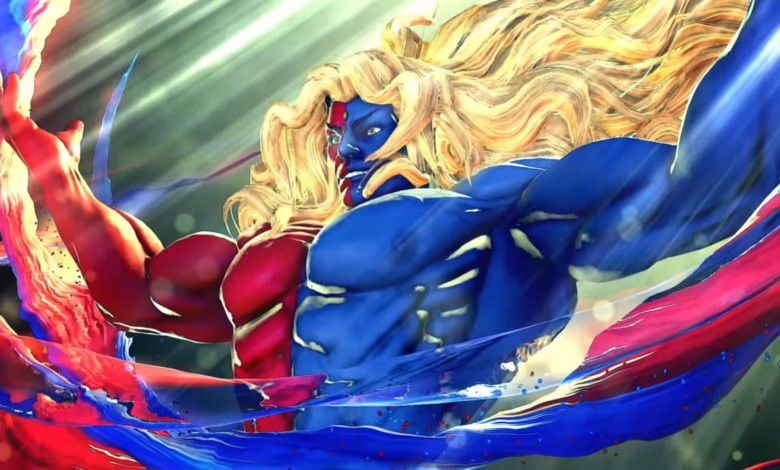 Street Fighter V 5 Champion Edition