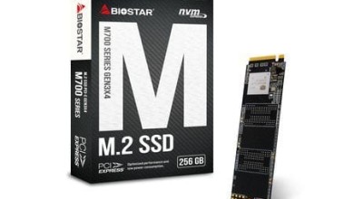 biostar m700 pcie 3.0