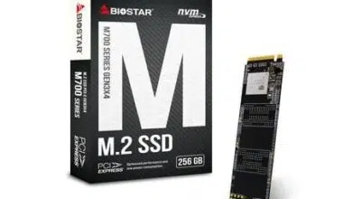 biostar m700 pcie 3.0