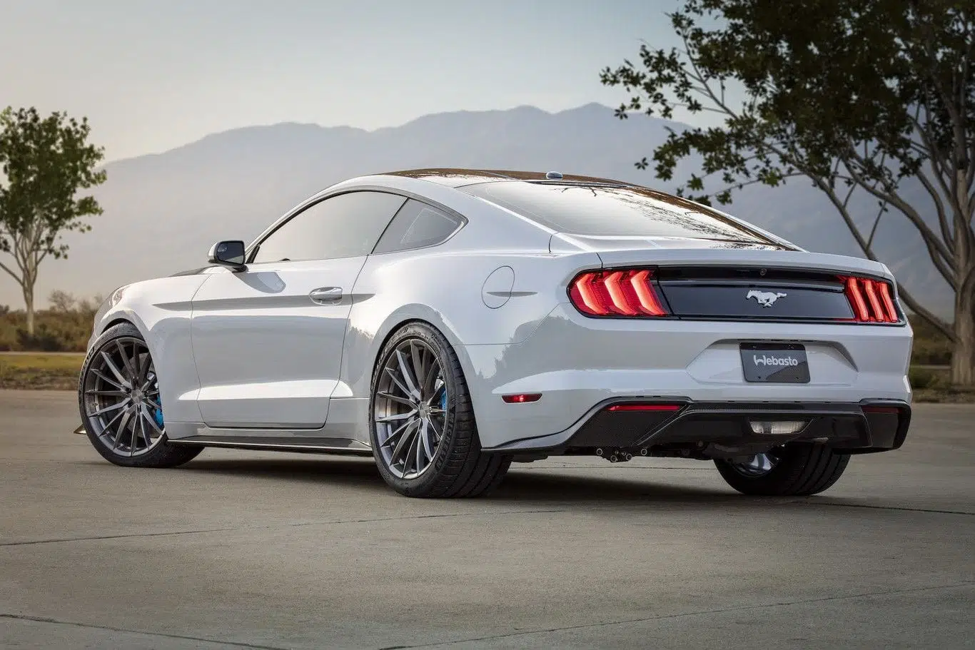 ford mustang lithium 5