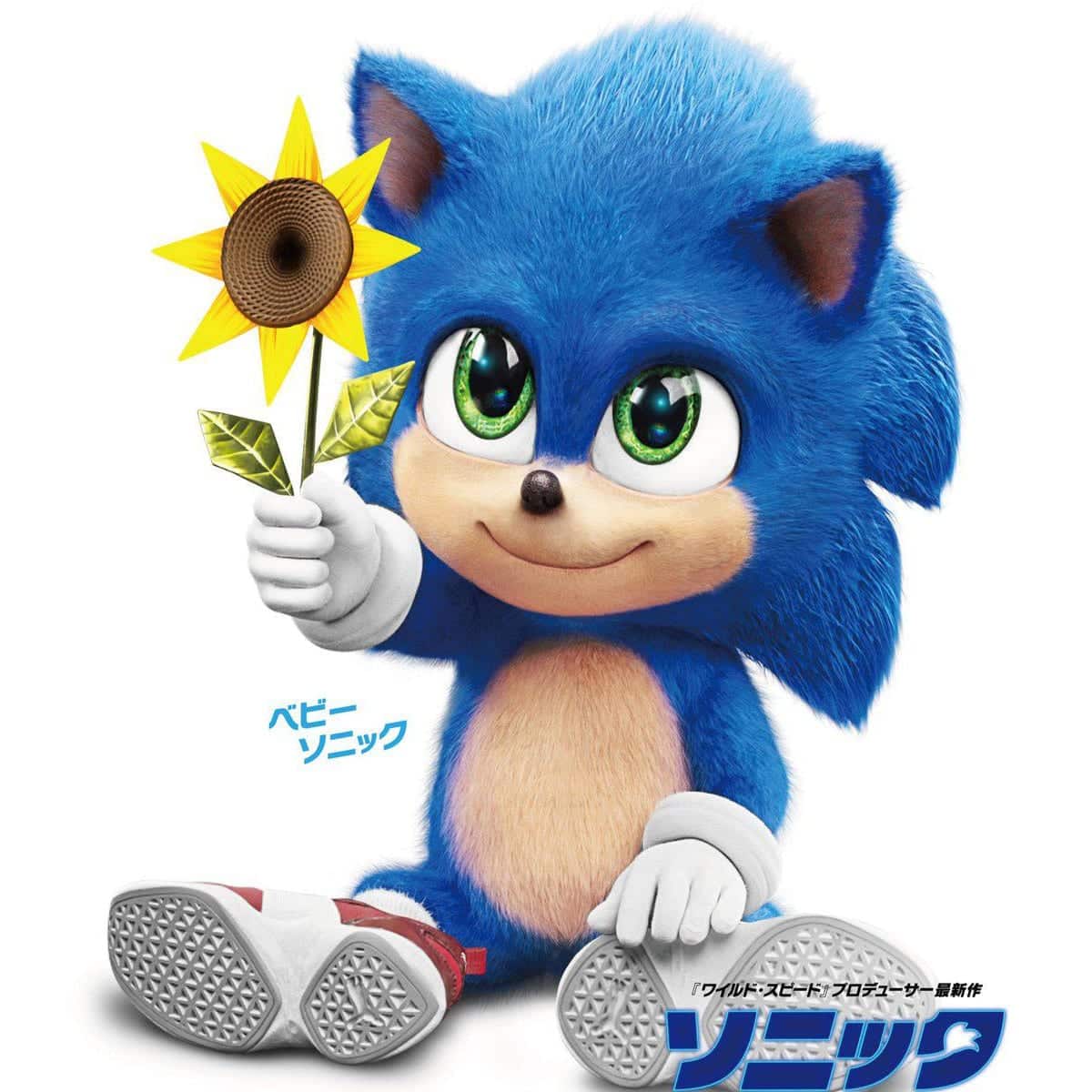 Baby Sonic Bebé