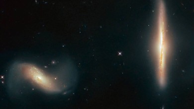 hubble galaxia amiga arp 293