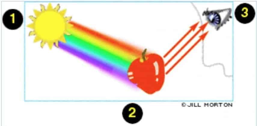 manzana ray tracing