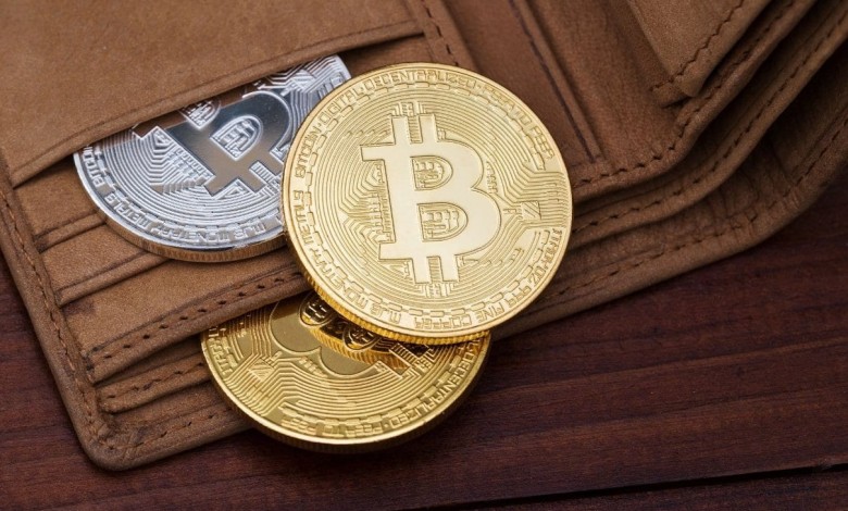 Bitcoin wallet billetera cartera resguardo custodia privada carteras privadas