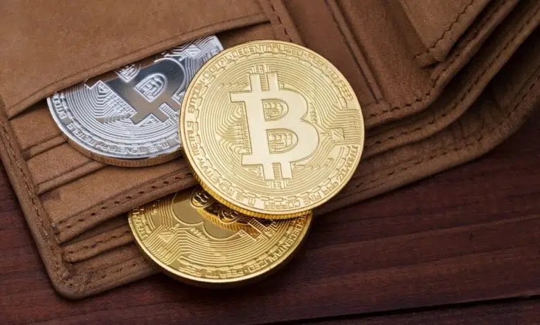 Bitcoin wallet billetera cartera resguardo custodia privada carteras privadas