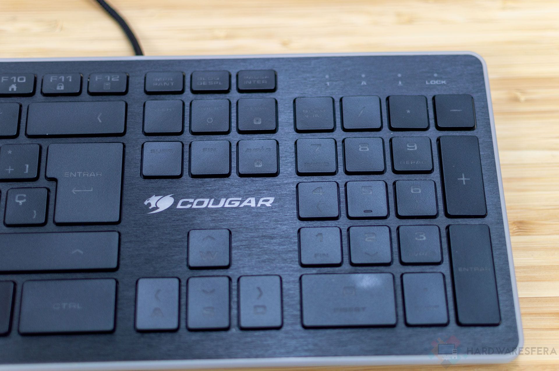 cougar vantar detalle