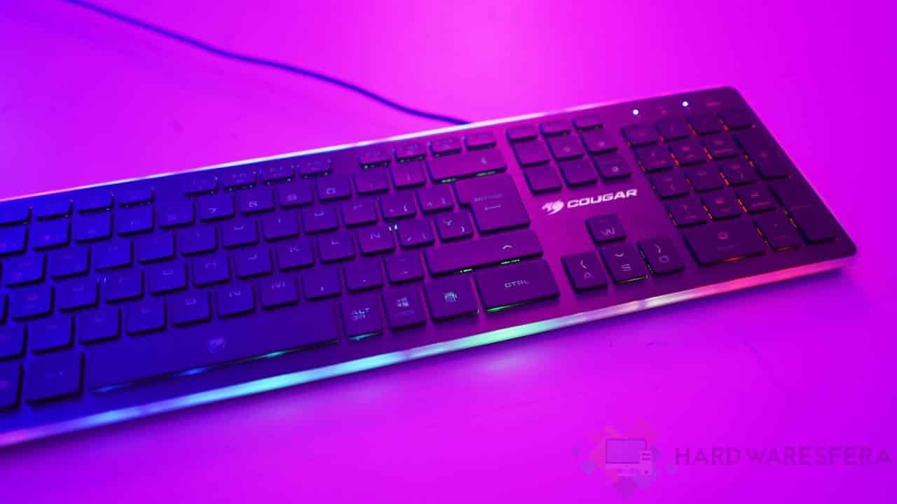 cougar vantar morado