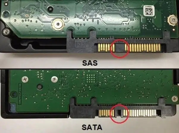 diferencia conector sas y conector sata