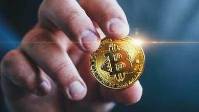 bitcoin millenials prefieren btc encuesta tokenist taproot actualizacion update