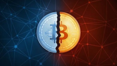 halving de bitcoin hashrate bloque 630000 mineria de bitcoin minar el salvador energia volcanica